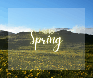 A green spring field with the word “spring” written across it.