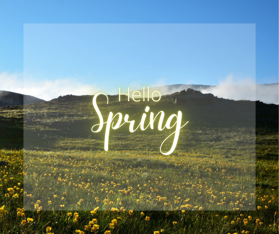 A green spring field with the word “spring” written across it.